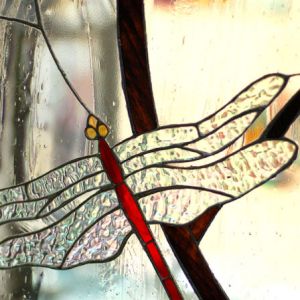 detail libellule vitrail Tiffany Osny